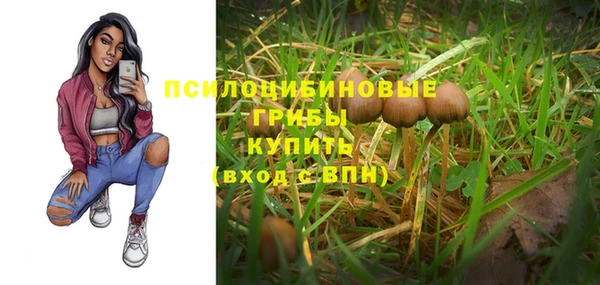 спиды Алзамай
