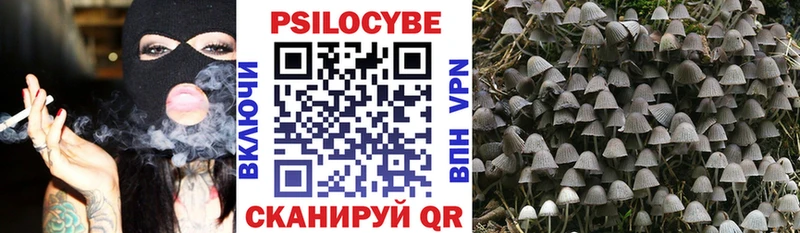Псилоцибиновые грибы GOLDEN TEACHER  Киржач 