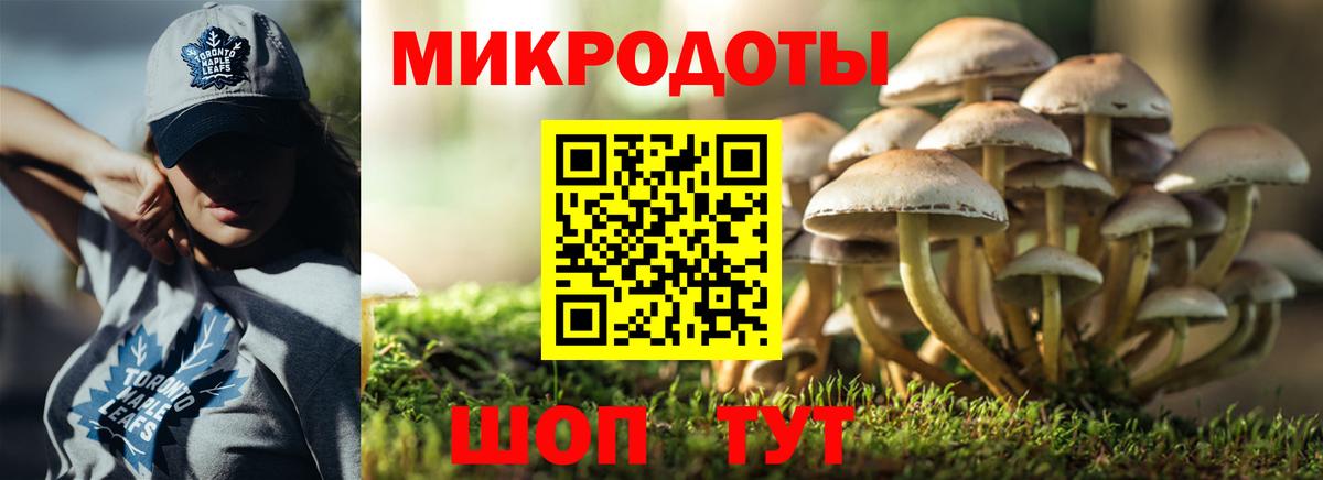 Киржач  Галлюциногенные грибы Psilocybine cubensis  Вход с VPN 